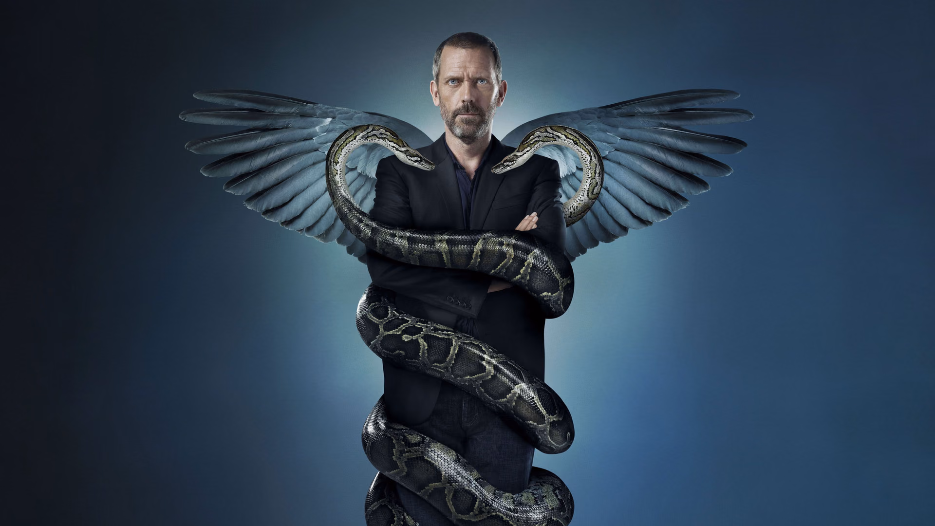 House backdrop